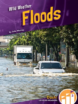 cover image of Floods